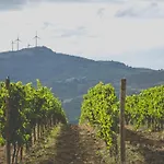 Prázdninový dům Domaine - Vignoble - Jacuzzi - Sauna - 14 A 18 Pers