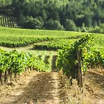 Domaine - Vignoble - Jacuzzi - Sauna - 14 A 18 Pers