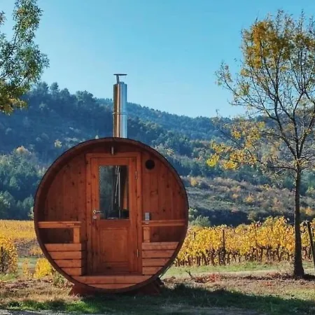 Domaine-vignoble-piscine-jacuzzi-sauna *