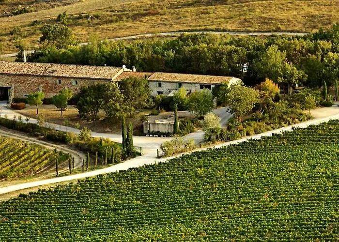 Domaine - Vignoble - Jacuzzi - Sauna - 14 A 18 Pers 펜션 Roquetaillade