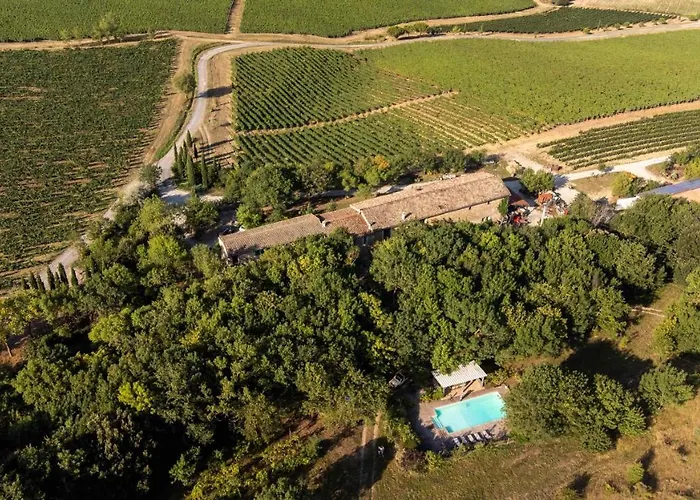 Domaine - Vignoble - Jacuzzi - Sauna - 14 A 18 Pers Roquetaillade