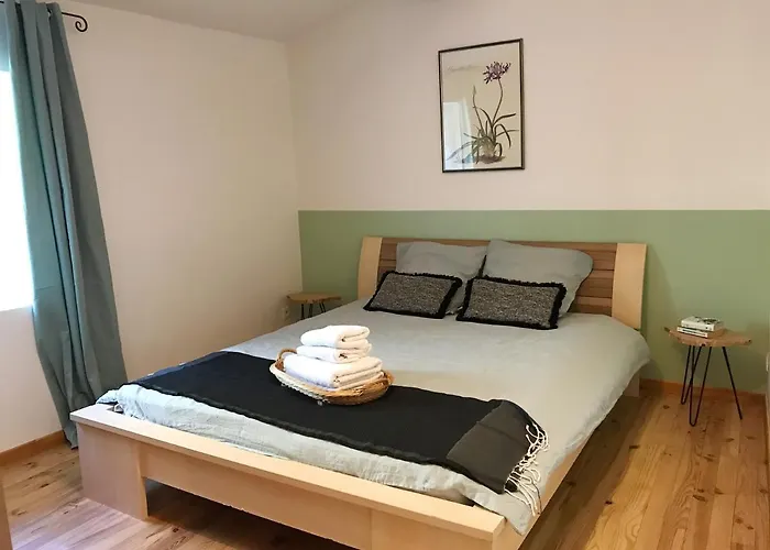 Domaine - Vignoble - Jacuzzi - Sauna - 14 A 18 Pers * Roquetaillade