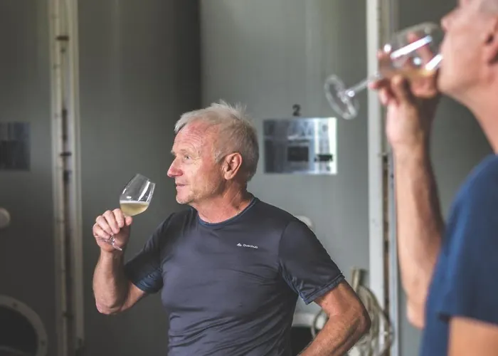 Domaine - Vignoble - Jacuzzi - Sauna - 14 A 18 Pers 펜션